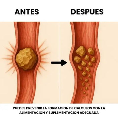 RenaliVita™ – Limpieza Renal Profunda Natural