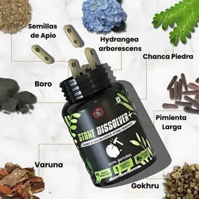 RenaliVita™ – Limpieza Renal Profunda Natural